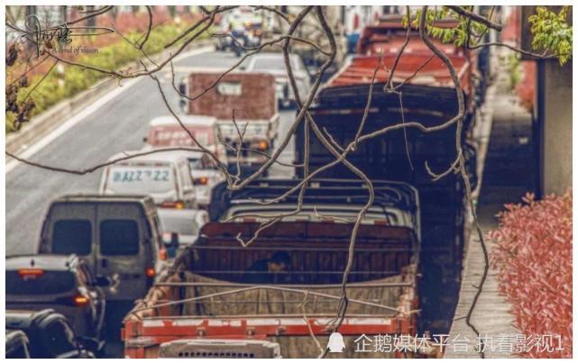 马路边成为货运停车场杭州的运输闭环管控似乎举步维艰